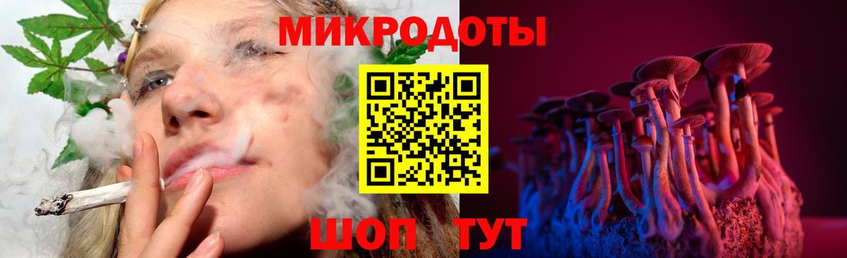 Псилоцибиновые грибы мицелий Омск