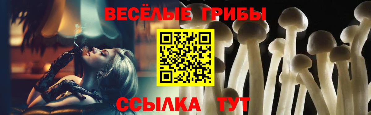 Псилоцибиновые грибы Magic Shrooms  Галлюциногенные грибы Magic Shrooms  Омск  Вход с VPN 