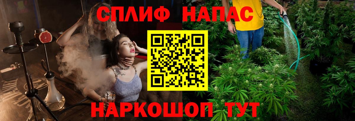 Бошки марихуана конопля  Конопля White Widow  Вход с VPN  Каннабис марихуана  Омск 